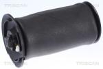 TRISCAN Arc pneumatic, directie TRISCAN 8720 11202 (8720 11202)