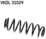 SKF Arc spiral SKF VKDL 31029 (VKDL 31029) - fixbox