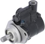 DT Spare Parts Pompa hidraulica, sistem de directie DT Spare Parts 2.53205 (2.53205)