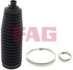Fag Ansamblu burduf, directie FAG 841 0031 30 (841 0031 30)