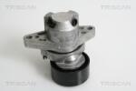 TRISCAN Intinzator curea, curea distributie TRISCAN 8641 253008 (8641 253008)