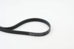 Continental Ctam Curea transmisie cu caneluri CONTINENTAL CTAM 6PK1244 (6PK1244) - fixbox