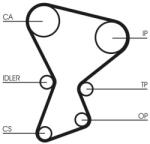 Continental Ctam Curea de distributie CONTINENTAL CTAM CT545 (CT545) - fixbox