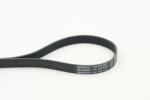 Continental Ctam Curea transmisie cu caneluri CONTINENTAL CTAM 7PK1570 (7PK1570) - fixbox