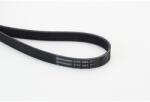 Continental Ctam Curea transmisie cu caneluri CONTINENTAL CTAM 6PK1893 (6PK1893) - fixbox