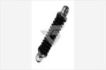 Hutchinson Amortizor vibratii, curea transmisie cu caneluri Hutchinson TS500305 (TS500305)