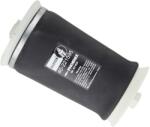 BILSTEIN Arc pneumatic, directie BILSTEIN 40-221595 (40-221595)