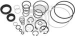 Febi Bilstein Set garnituri, caracsa directie FEBI BILSTEIN 08696 (08696)
