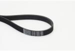 Continental Ctam Curea transmisie cu caneluri CONTINENTAL CTAM 6PK1555 (6PK1555) - fixbox