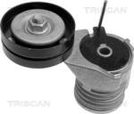 TRISCAN Intinzator curea, curea distributie TRISCAN 8641 293002 (8641 293002)