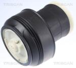 TRISCAN Arc pneumatic, directie TRISCAN 8720 11203 (8720 11203)