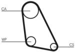Continental Ctam Curea de distributie CONTINENTAL CTAM CT534 (CT534) - fixbox