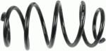 SACHS Arc spiral SACHS 998 884 (998 884) - fixbox