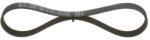 Bosch Curea transmisie cu caneluri BOSCH 1 987 947 831 (1 987 947 831) - fixbox