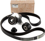 Original Renault Set curea transmisie cu caneluri ORIGINAL RENAULT 117209389R (117209389R)