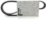Original Renault Curea transmisie cu caneluri ORIGINAL RENAULT 117208309R (117208309R)