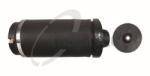Trucktec Automotive Arc pneumatic, directie TRUCKTEC AUTOMOTIVE 02.30. 384 (02.30.384)