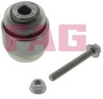 Fag Articulatie sarcina/ghidare FAG 825 0254 10 (825 0254 10)