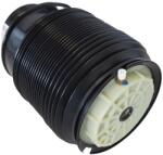 CORTECO Arc pneumatic, directie CORTECO 49430416 (49430416)