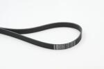 Continental Ctam Curea transmisie cu caneluri CONTINENTAL CTAM 6PK1318 (6PK1318) - fixbox