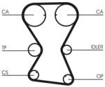 Continental Ctam Set curea de distributie CONTINENTAL CTAM CT1000K1 (CT1000K1) - fixbox