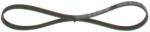 Bosch Curea transmisie cu caneluri BOSCH 1 987 947 894 (1 987 947 894) - fixbox
