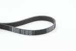 Continental Ctam Curea transmisie cu caneluri CONTINENTAL CTAM 6PK1205 (6PK1205) - fixbox