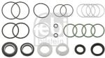 Febi Bilstein Set garnituri, caracsa directie FEBI BILSTEIN 26239 (26239)