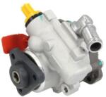 LAUBER Pompa hidraulica, sistem de directie LAUBER 55.9975 (55.9975)