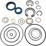 VAICO Set garnituri, caracsa directie VAICO V30-9967 (V30-9967)