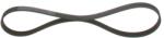 Bosch Curea transmisie cu caneluri BOSCH 1 987 947 919 (1 987 947 919) - fixbox