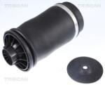 TRISCAN Arc pneumatic, directie TRISCAN 8720 23204 (8720 23204)
