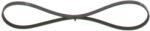 Bosch Curea transmisie cu caneluri BOSCH 1 987 946 288 (1 987 946 288) - fixbox