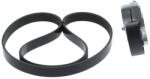 Bosch Set curea transmisie cu caneluri BOSCH 1 987 600 717 (1 987 600 717) - fixbox