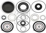 Febi Bilstein Set garnituri, caracsa directie FEBI BILSTEIN 101311 (101311)