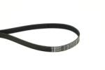 Continental Ctam Curea transmisie cu caneluri CONTINENTAL CTAM 7PK1195 ELAST (7PK1195 ELAST) - fixbox