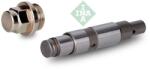 INA intinzator, lant distributie INA 551 0019 10 (551 0019 10)