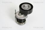 TRISCAN Intinzator curea, curea distributie TRISCAN 8641 293021 (8641 293021)