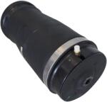 CORTECO Arc pneumatic, directie CORTECO 49430438 (49430438)