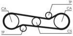 Continental Ctam Curea de distributie CONTINENTAL CTAM CT581 (CT581) - fixbox