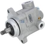 DT Spare Parts Pompa hidraulica, sistem de directie DT Spare Parts 1.19113 (1.19113)