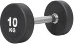 Sportmann Gantera SportMann Profi CPU 10 kg (SM1399) - sportist