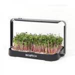 Bentech GreenBoost microgreens termesztőkészlet