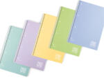 BLASETTI Spirálfüzet A/5 Vonalas 80 Lapos Műanyag Borítós Lyukasztott Perforált One Color Pastel Vegyes Mintákban (BP152050311)
