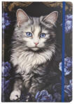 Argus Keményfedeles Notesz B/5 Vonalas 96 Lapos Kék Gumival Cat (BP078230403)