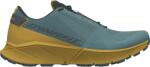 Dynafit Ultra 100 futócipő férfiaknak 46 EU (4053866731263) Férfi futócipő