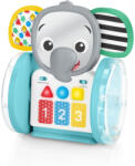 Baby Einstein - Jucarie interactiva, "Chase & Tap Earl (16923)