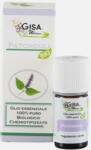 Gisa Ulei esential de Patchouli bio 5ml Gisa (MF46841)