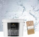 Torodecor Set Vopsea Decorativa de Lux, Solo Mio Argintiu, cu Cristale Lichide Stralucitoare, Efecte Spectaculoase, 2.5 Litri si Pensula, 70 mm (SMP25001)