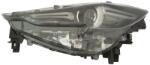 DEPO Far Depo 216-1179R-LEAM2 (216-1179R-LEAM2) - automobilus